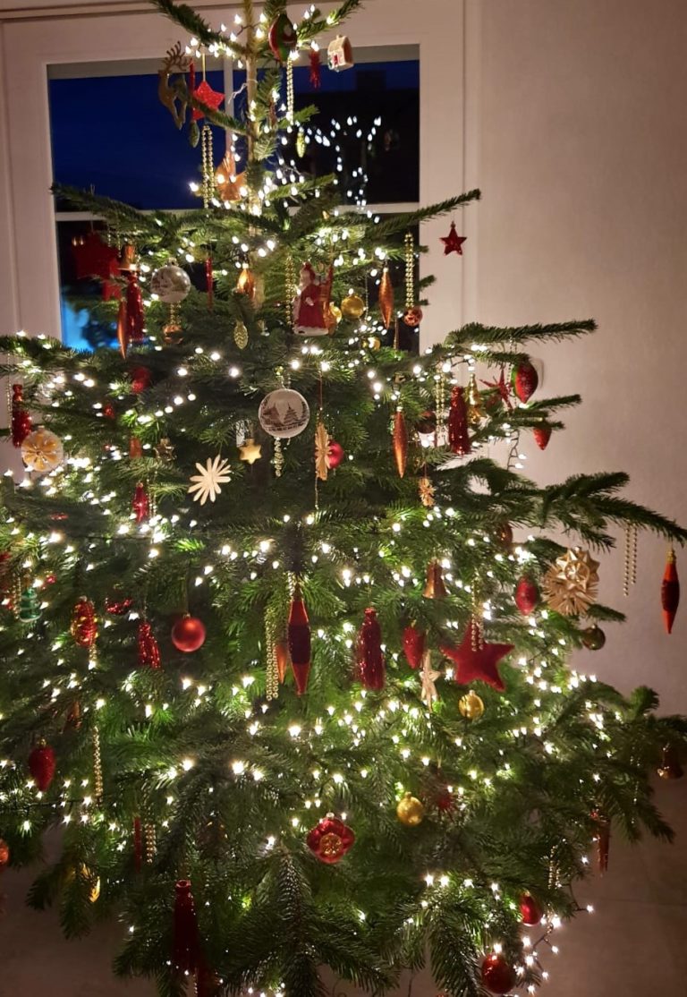 Weihnachtsbaum Online kaufen Lichtertanne